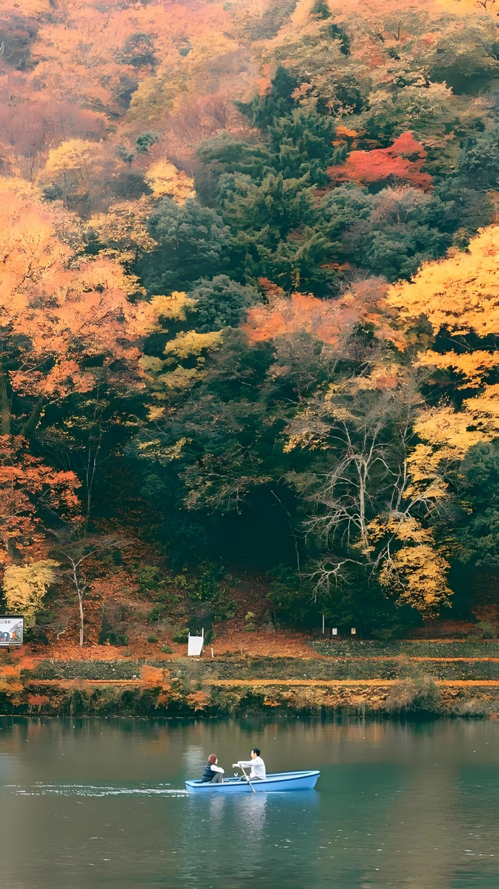 APP下载二维码